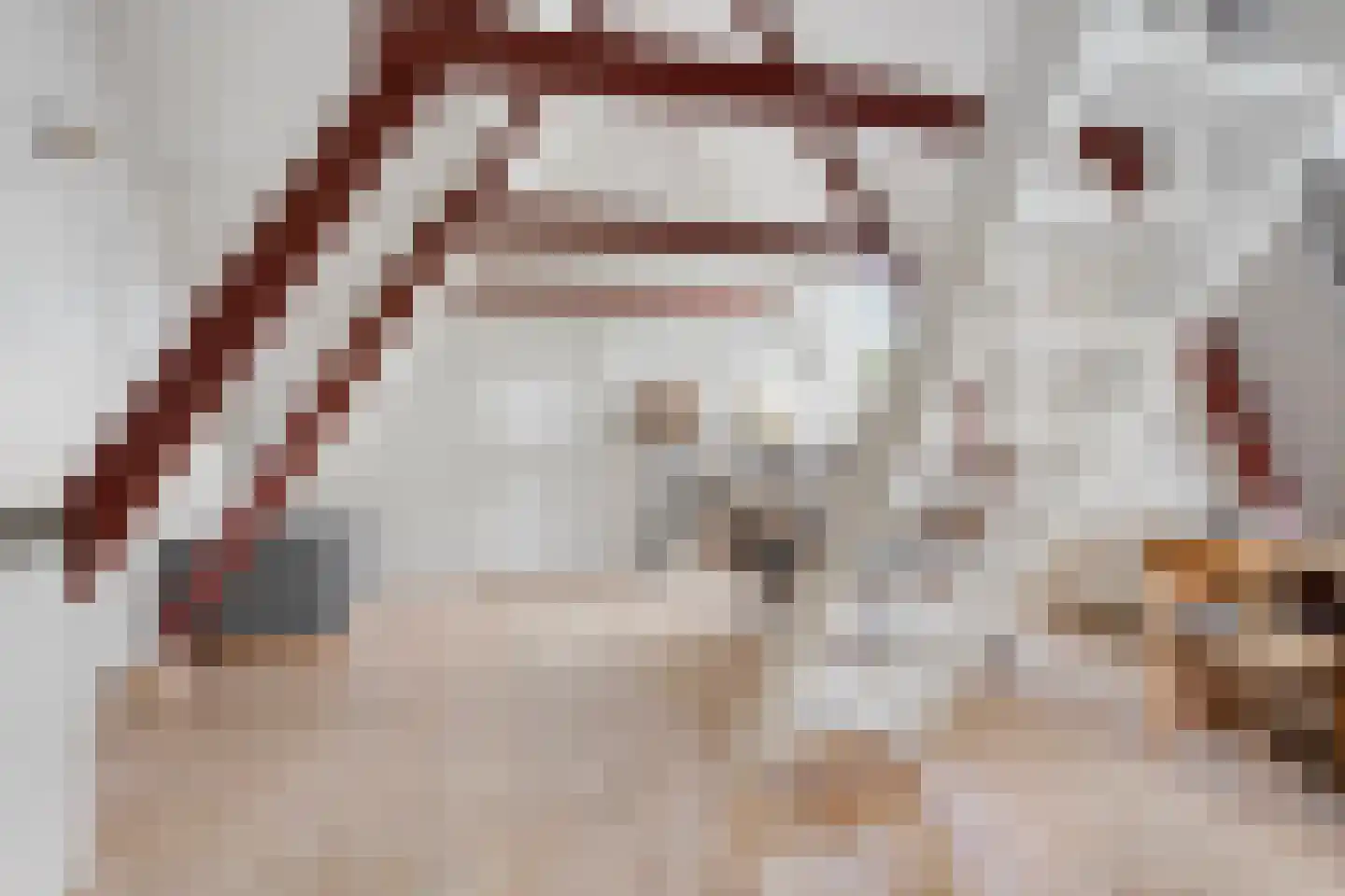 Leijester Hegedyk 52 Alde Leie thumbnail 20