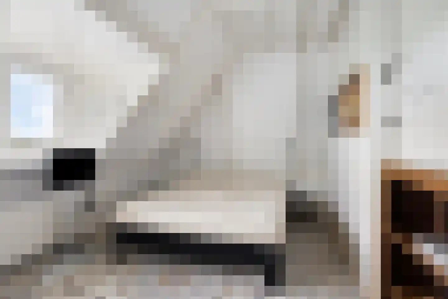 Leijester Hegedyk 52 Alde Leie thumbnail 22