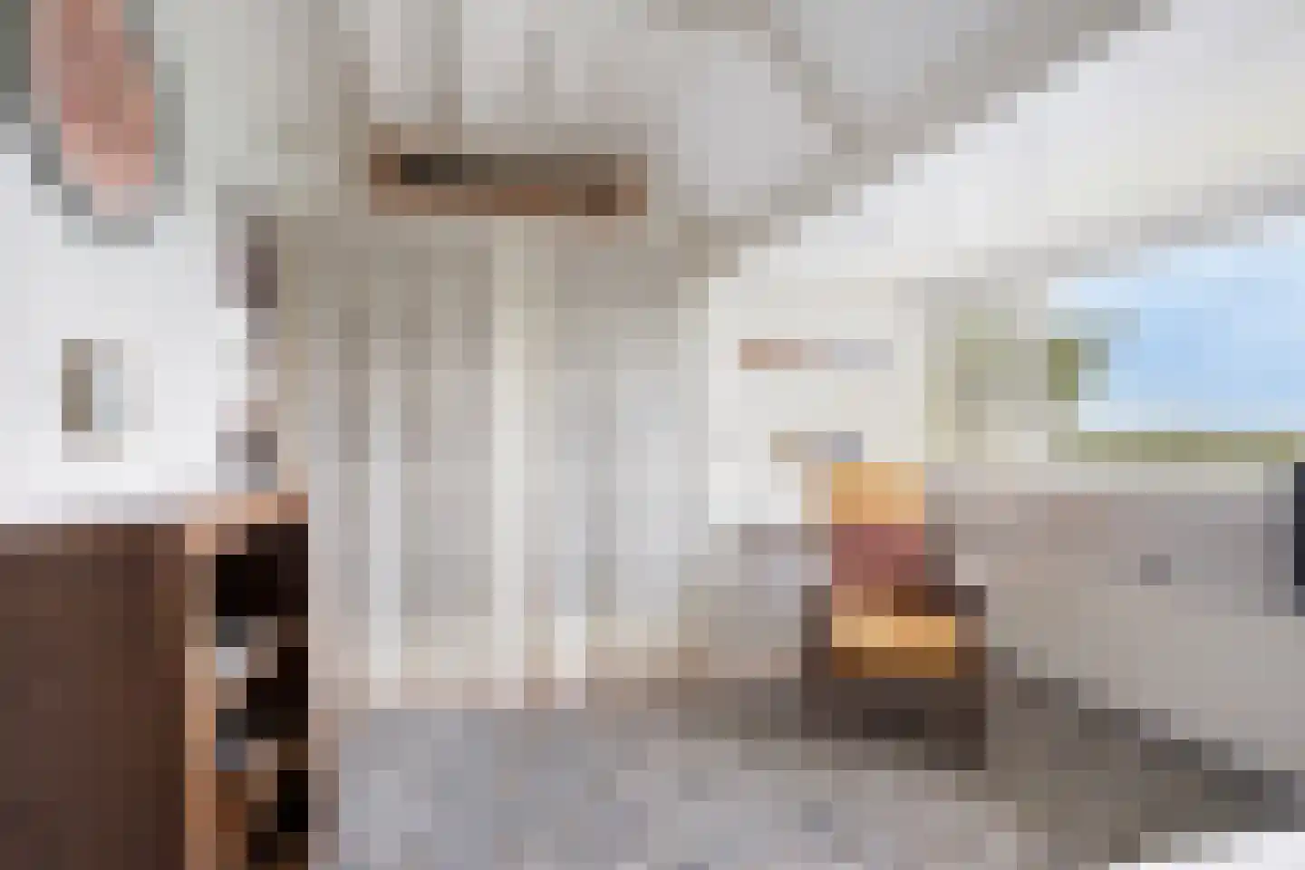 Leijester Hegedyk 52 Alde Leie thumbnail 23