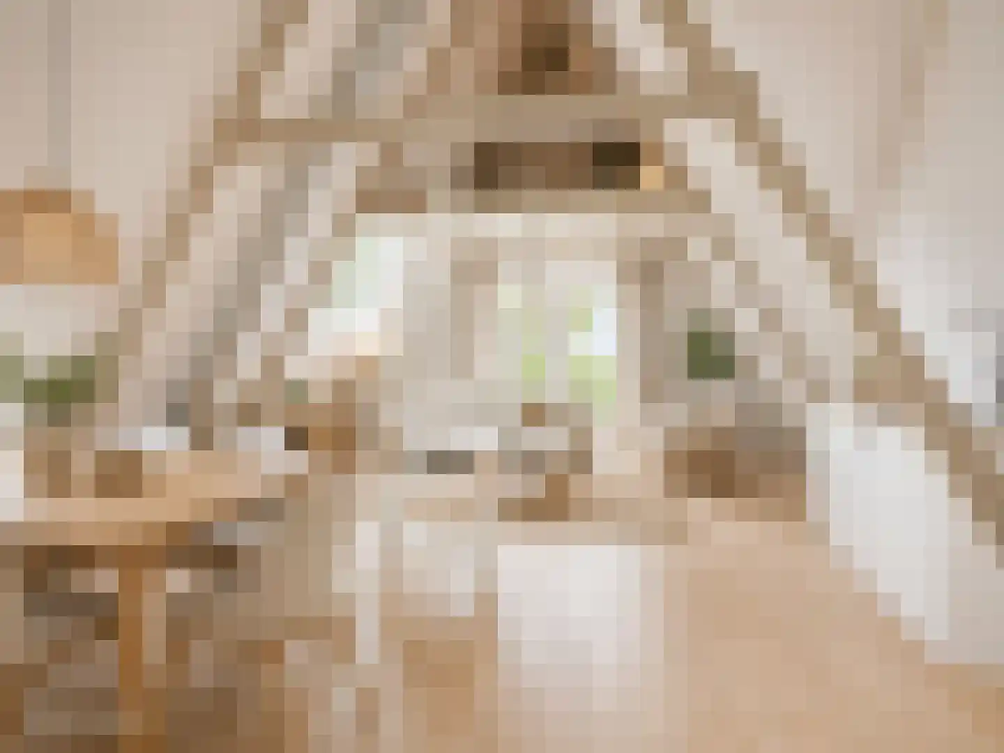 Leijester Hegedyk 52 Alde Leie thumbnail 27