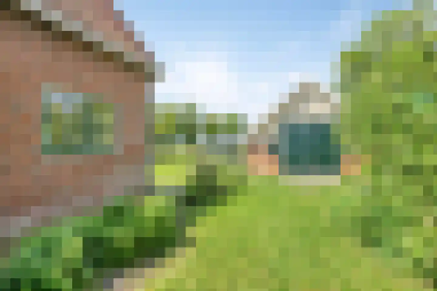 Leijester Hegedyk 52 Alde Leie thumbnail 28