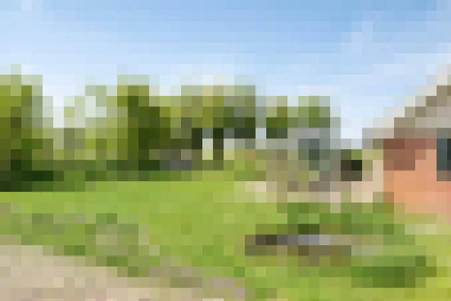 Leijester Hegedyk 52 Alde Leie thumbnail 29