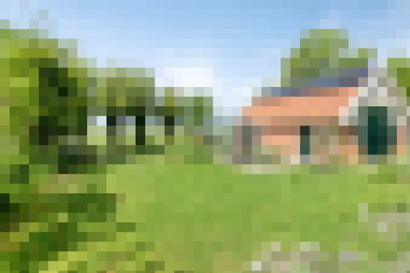 Leijester Hegedyk 52 Alde Leie thumbnail 30