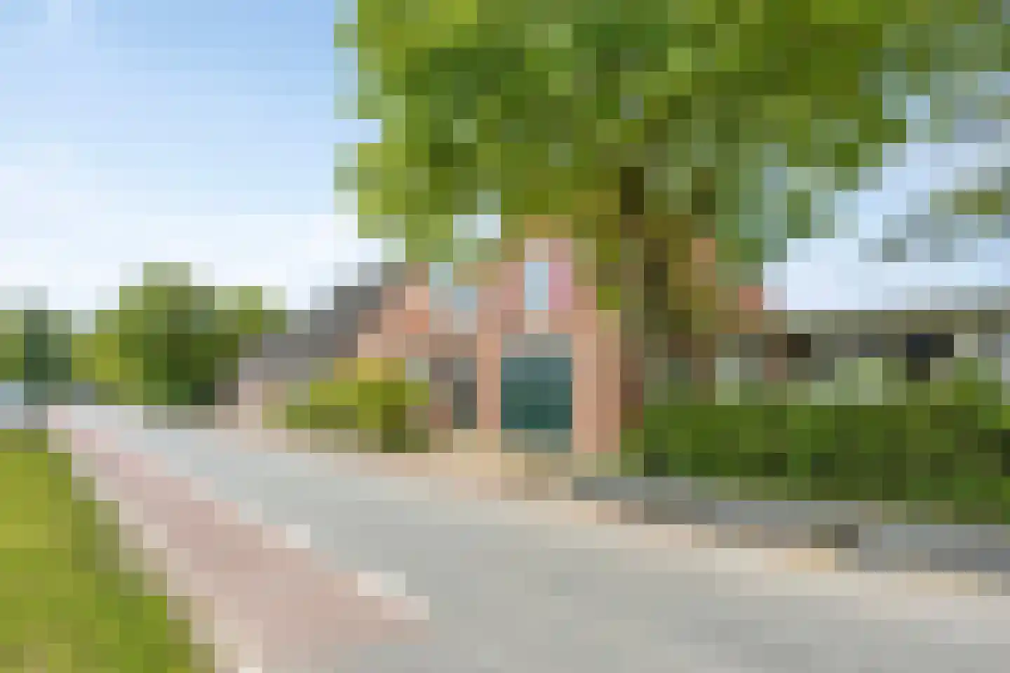Leijester Hegedyk 52 Alde Leie thumbnail 31