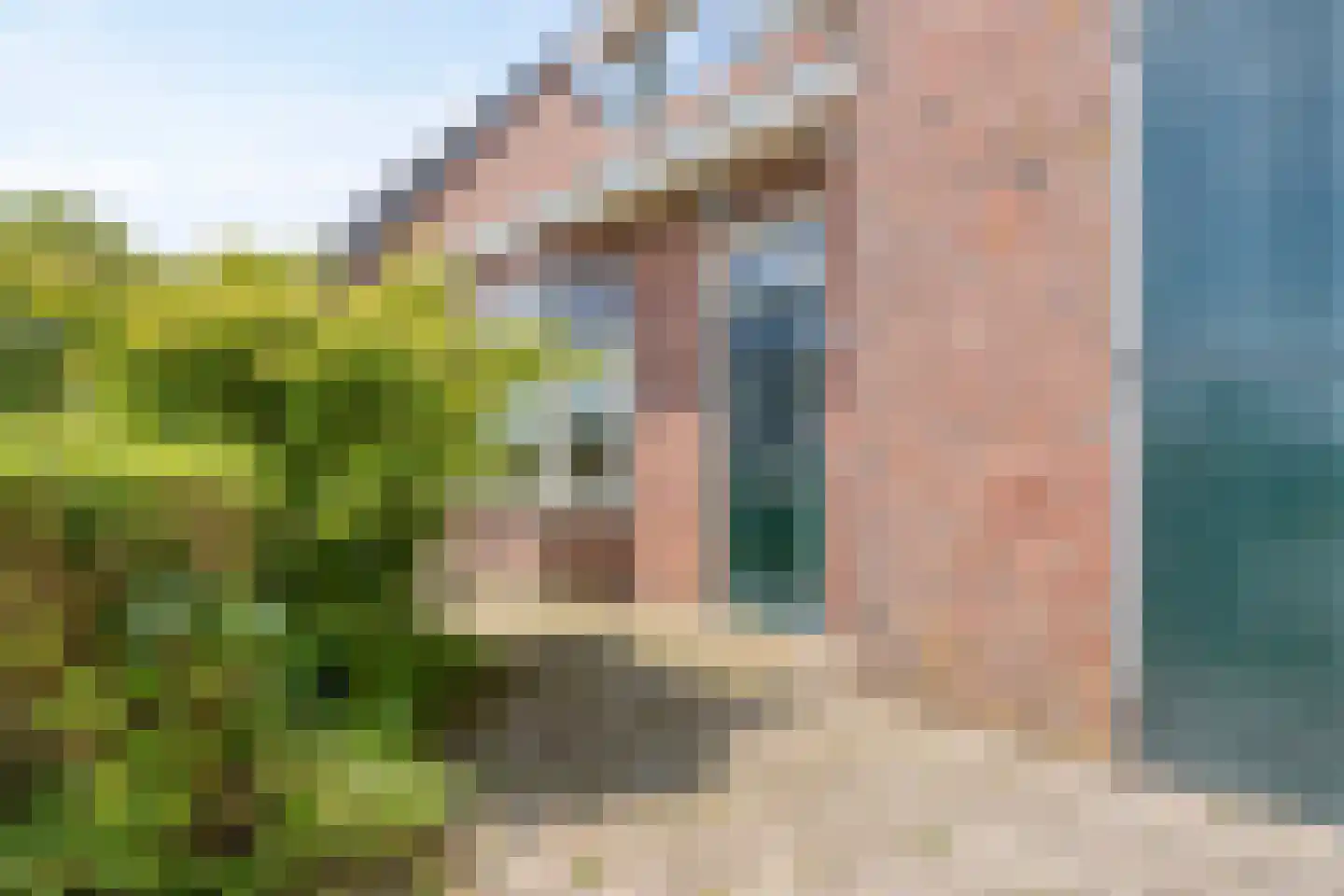 Leijester Hegedyk 52 Alde Leie thumbnail 36