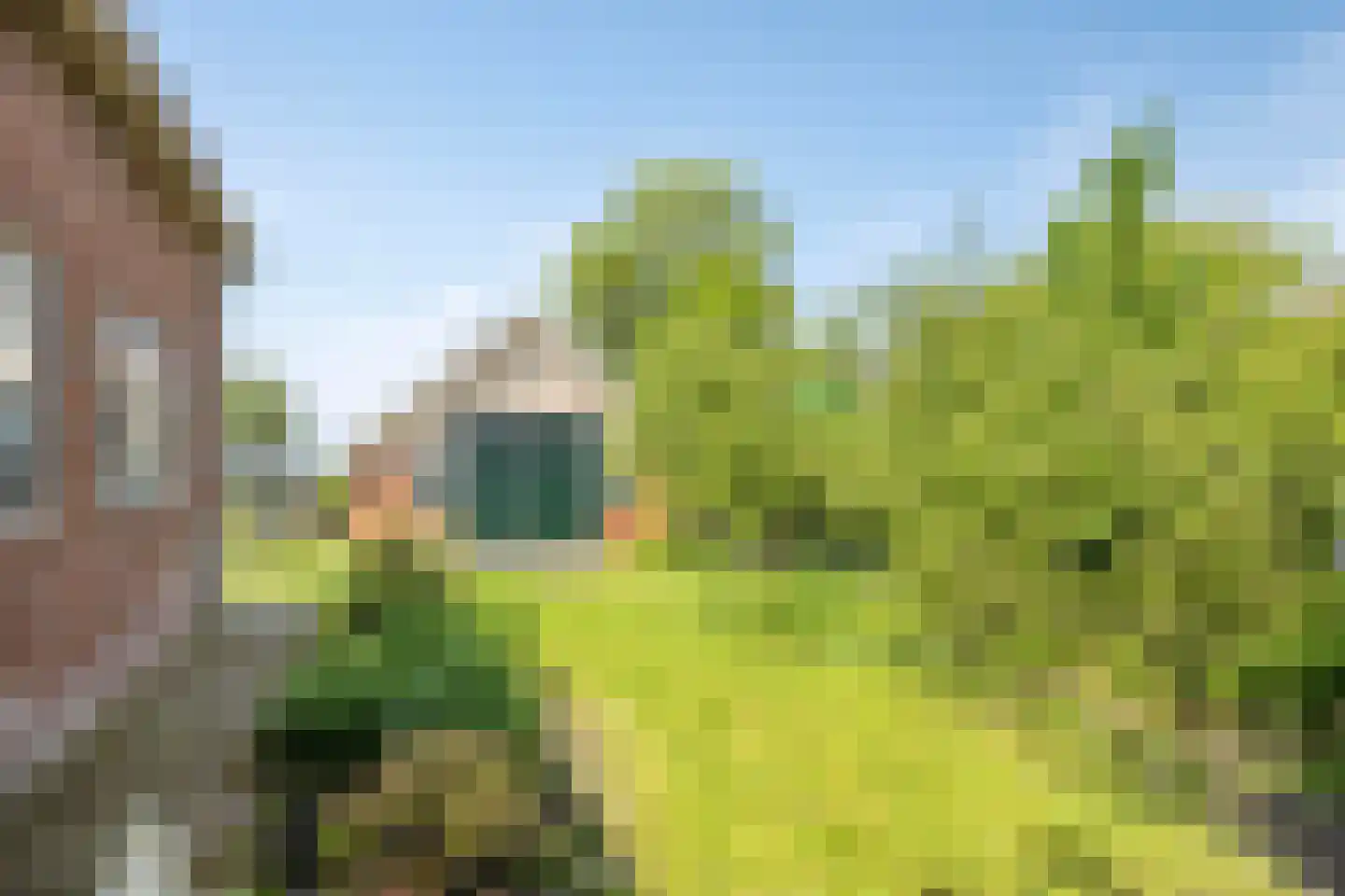 Leijester Hegedyk 52 Alde Leie thumbnail 37
