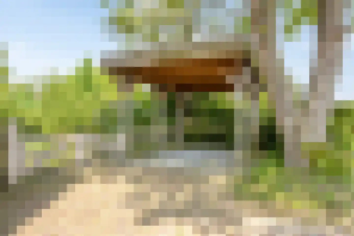 Leijester Hegedyk 52 Alde Leie thumbnail 38