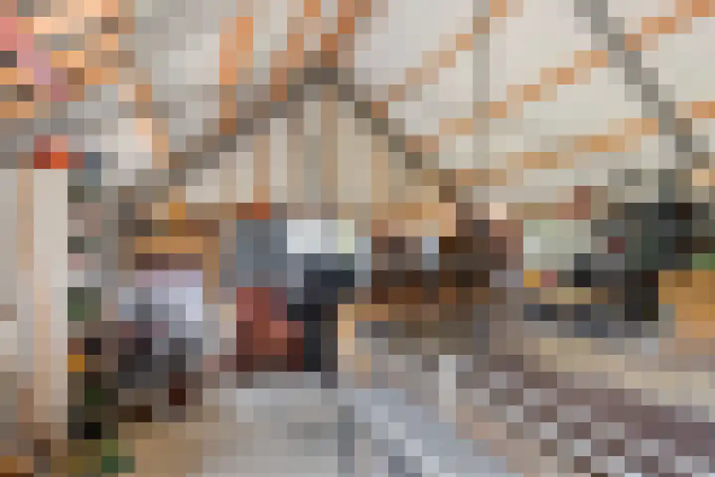 Leijester Hegedyk 52 Alde Leie thumbnail 39