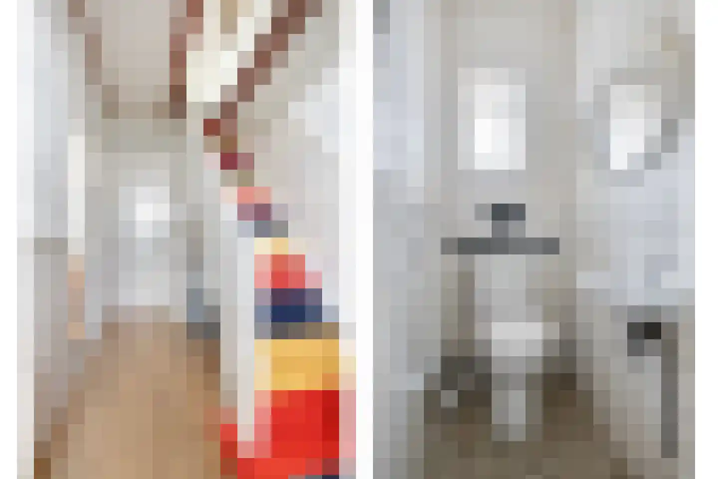 Leijester Hegedyk 52 Alde Leie thumbnail 4