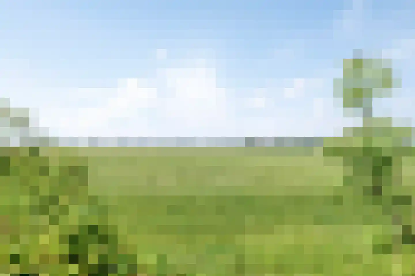 Leijester Hegedyk 52 Alde Leie thumbnail 41