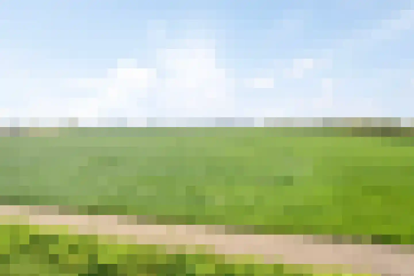 Leijester Hegedyk 52 Alde Leie thumbnail 42