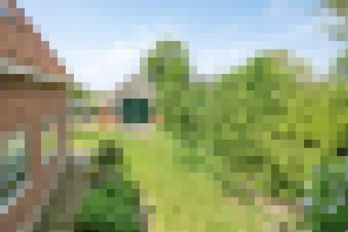 Leijester Hegedyk 52 Alde Leie thumbnail 45
