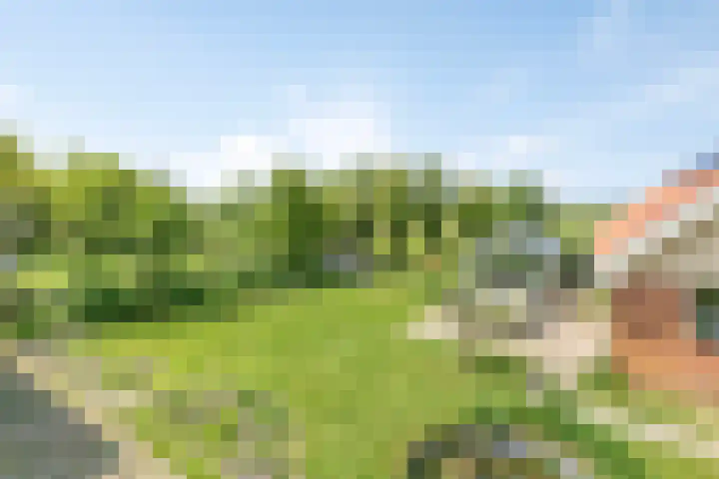 Leijester Hegedyk 52 Alde Leie thumbnail 46