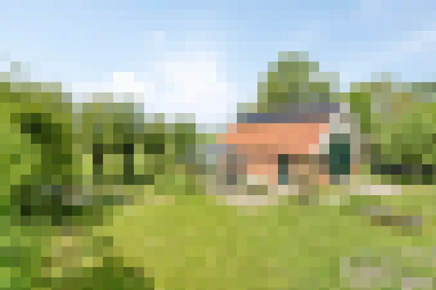 Leijester Hegedyk 52 Alde Leie thumbnail 47