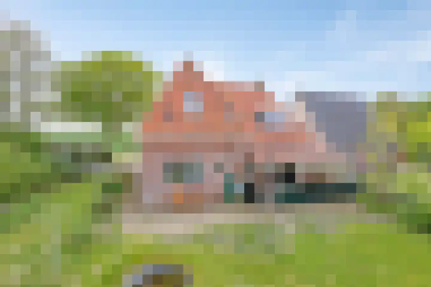 Leijester Hegedyk 52 Alde Leie thumbnail 48