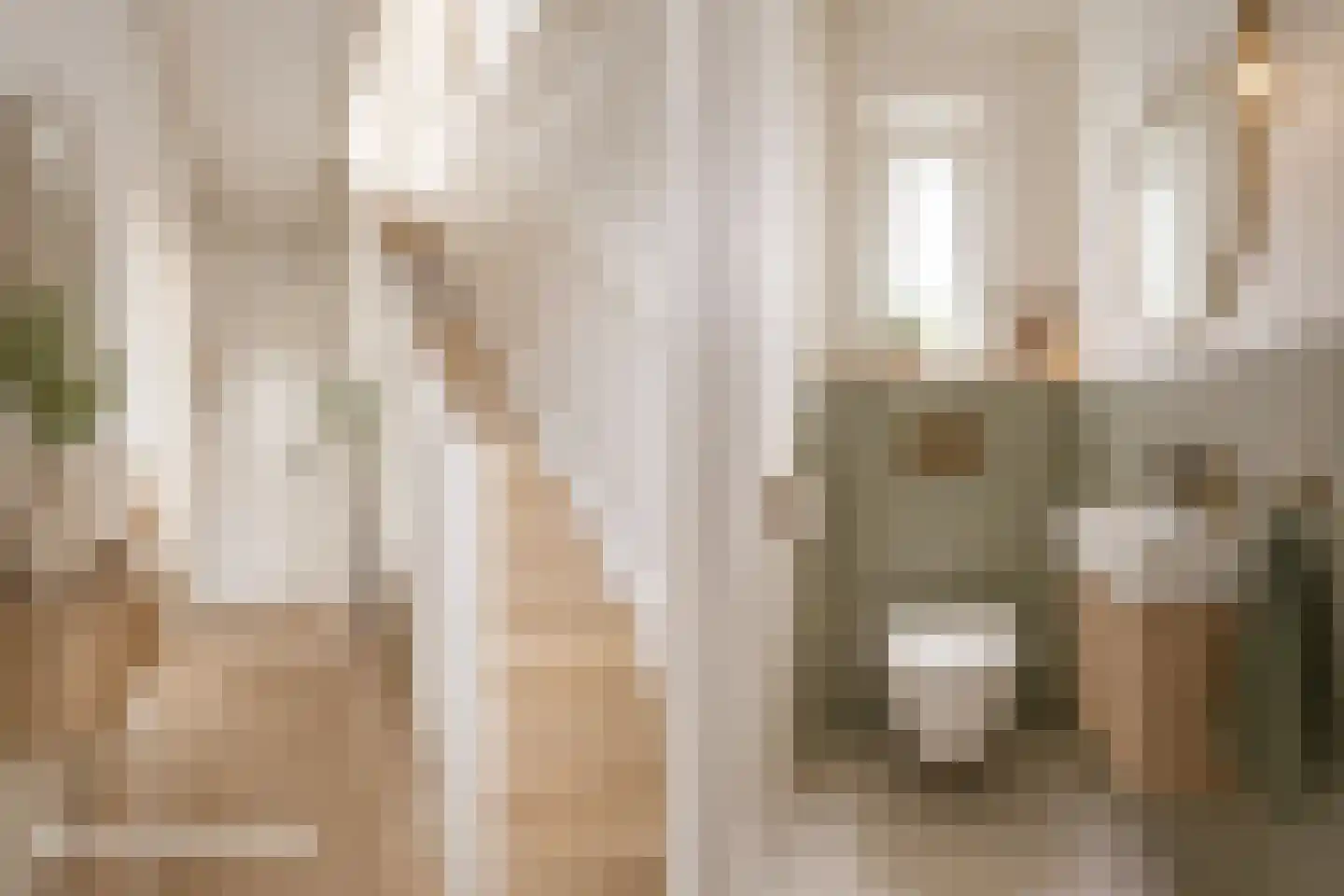 Leijester Hegedyk 52 Alde Leie thumbnail 5