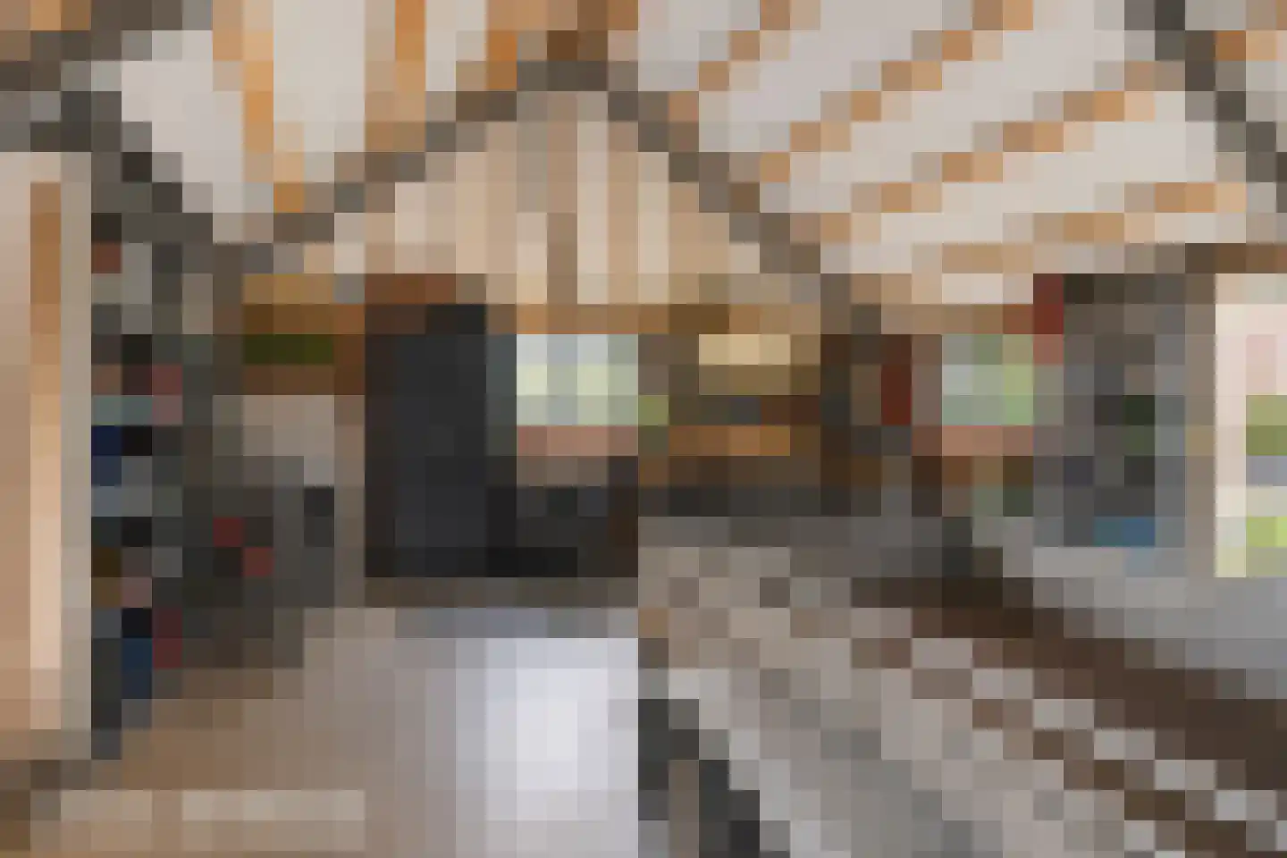 Leijester Hegedyk 52 Alde Leie thumbnail 50