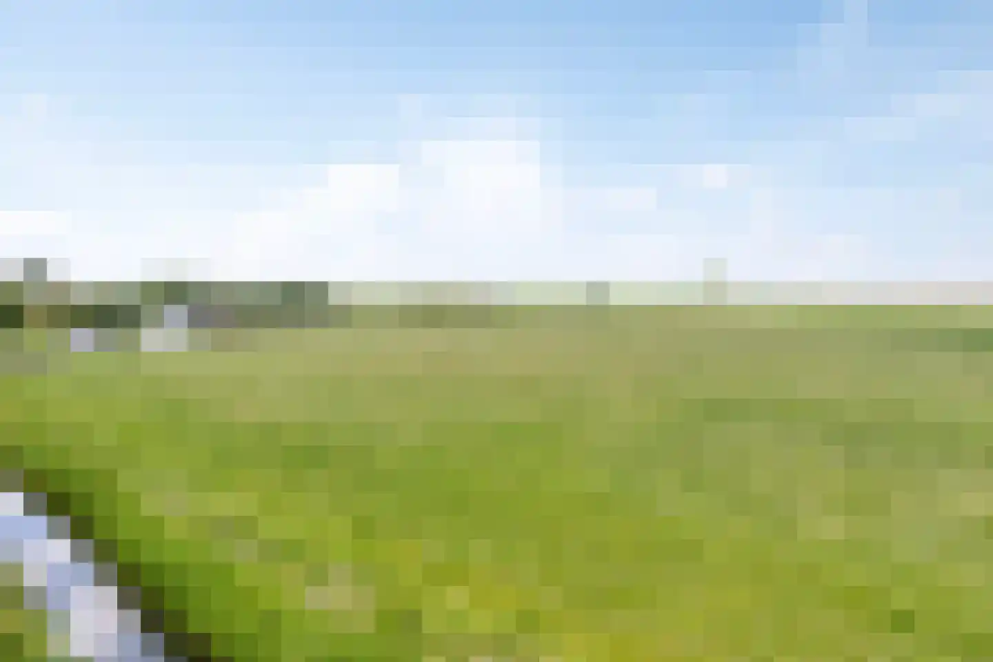 Leijester Hegedyk 52 Alde Leie thumbnail 50