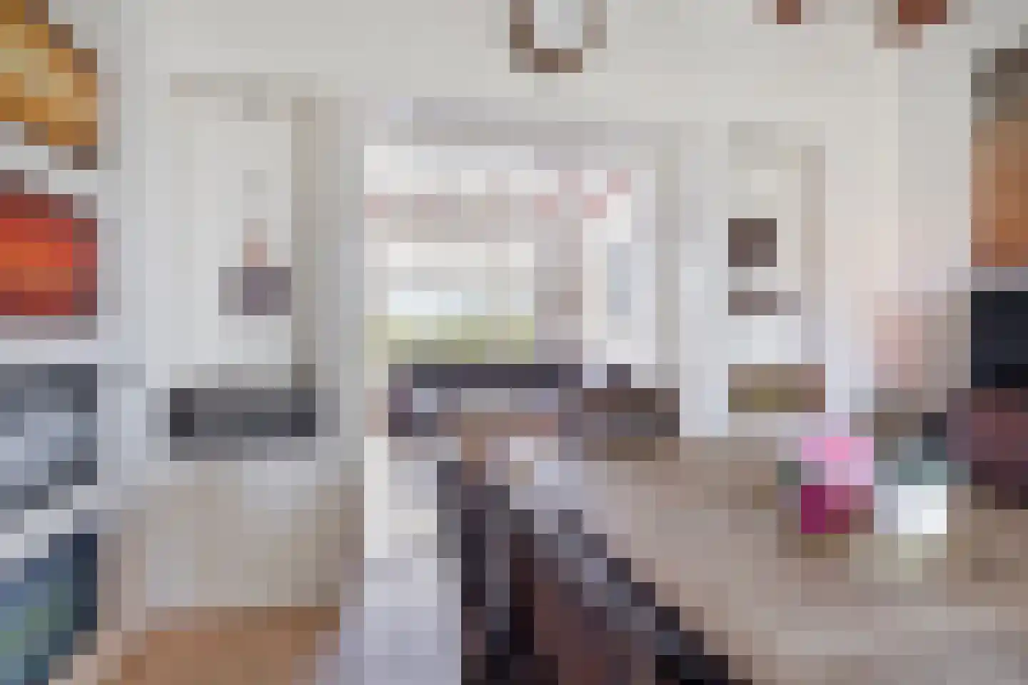 Leijester Hegedyk 52 Alde Leie thumbnail 6