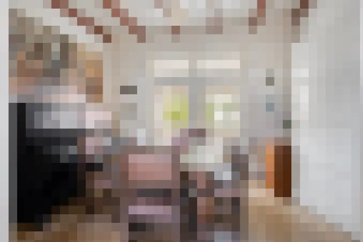 Leijester Hegedyk 52 Alde Leie thumbnail 7