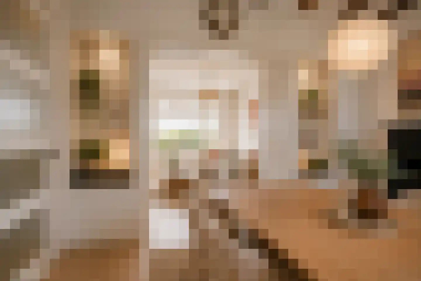 Leijester Hegedyk 52 Alde Leie thumbnail 9