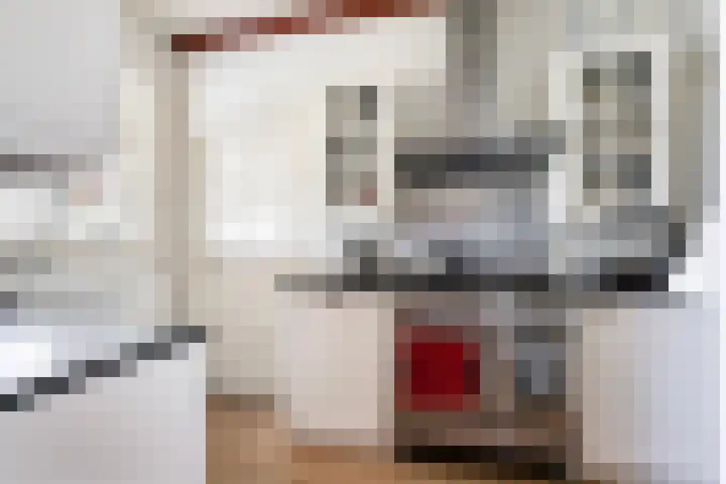 Leijester Hegedyk 52 Alde Leie thumbnail 9