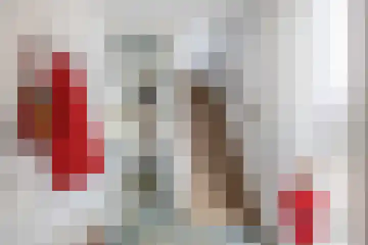 Leijgraaf 10 Belfeld thumbnail 13