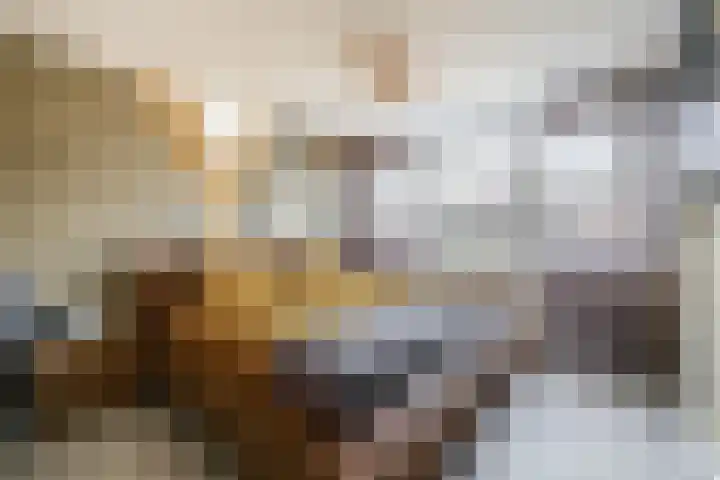 Leijgraaf 10 Belfeld thumbnail 15