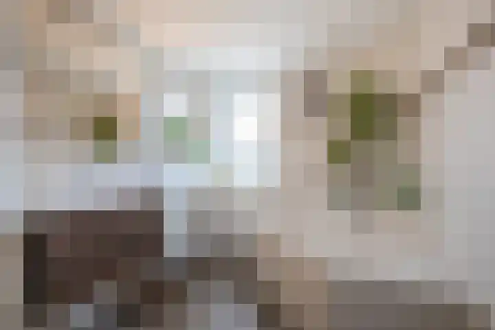 Leijgraaf 10 Belfeld thumbnail 18