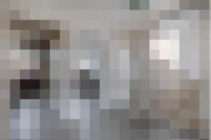 Leijgraaf 10 Belfeld thumbnail 21