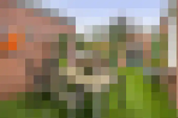 Leijgraaf 10 Belfeld thumbnail 25