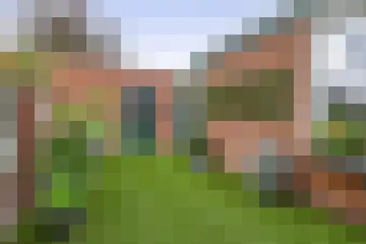 Leijgraaf 10 Belfeld thumbnail 26