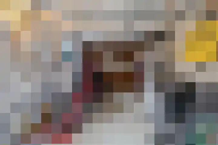 Leijgraaf 10 Belfeld thumbnail 29