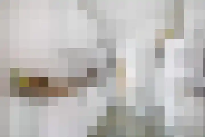 Leijgraaf 10 Belfeld thumbnail 8