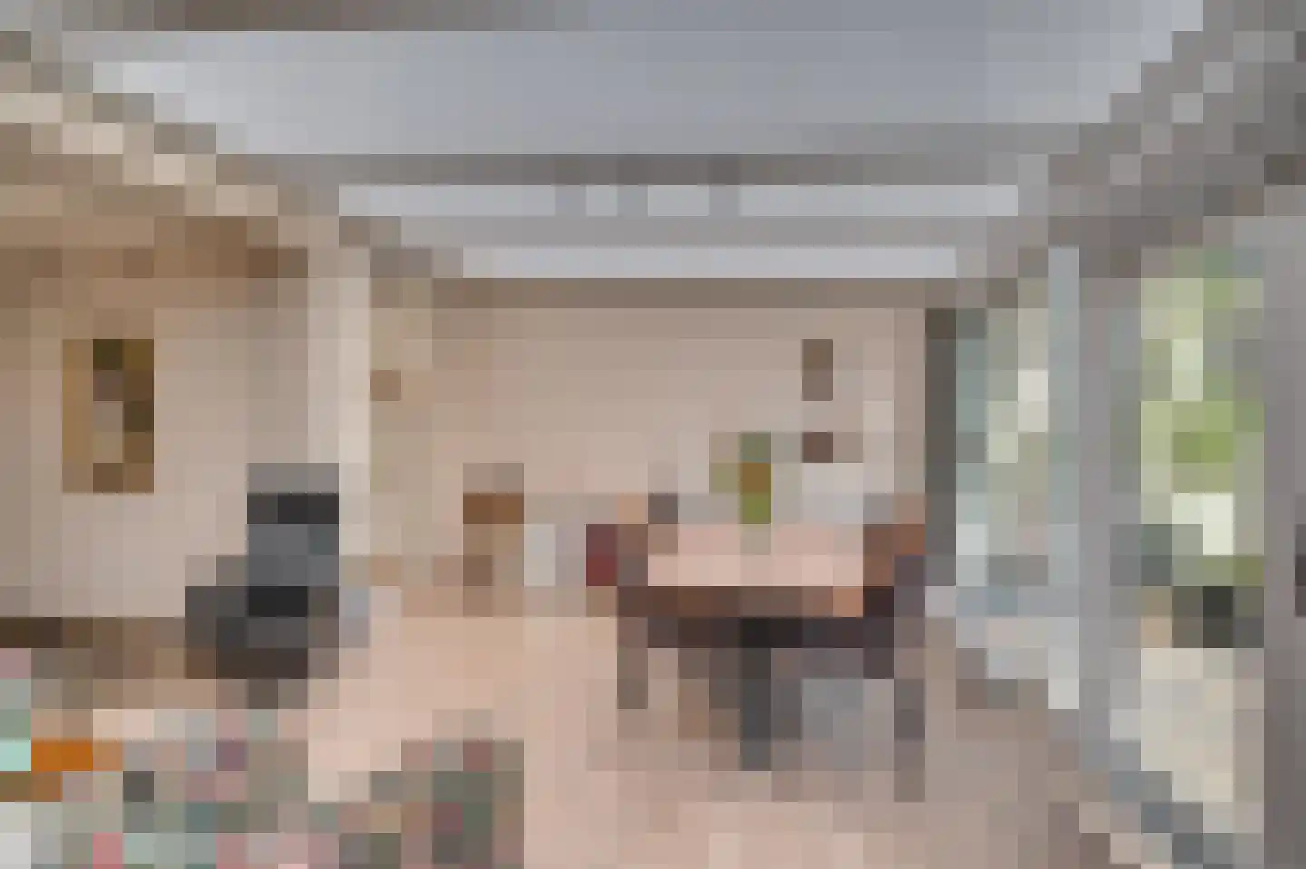 Leijgraaf 140 Belfeld thumbnail 10
