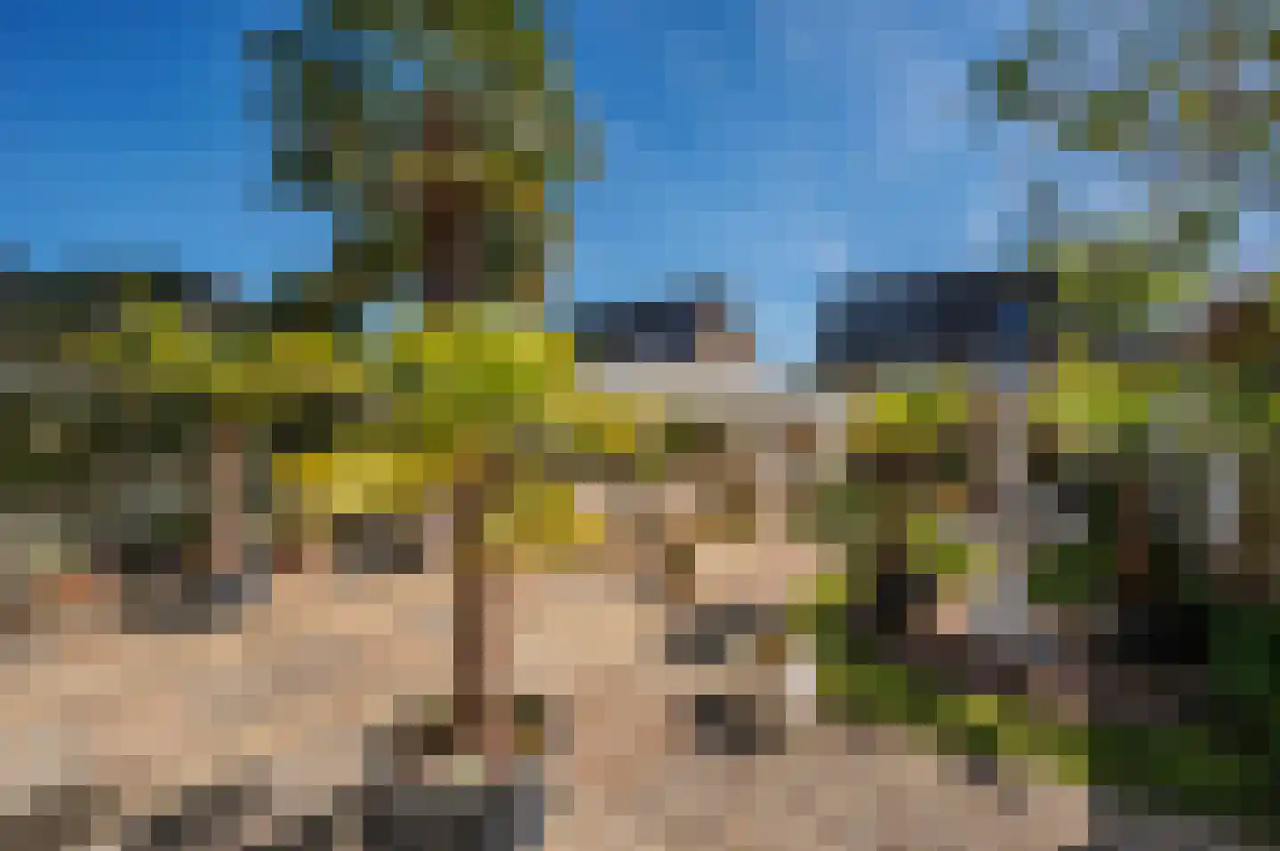 Leijgraaf 140 Belfeld thumbnail 25
