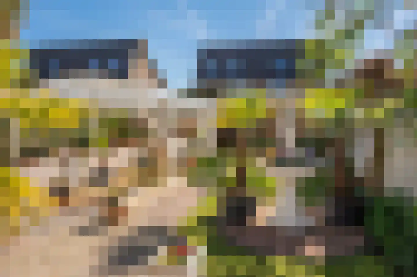 Leijgraaf 140 Belfeld thumbnail 26
