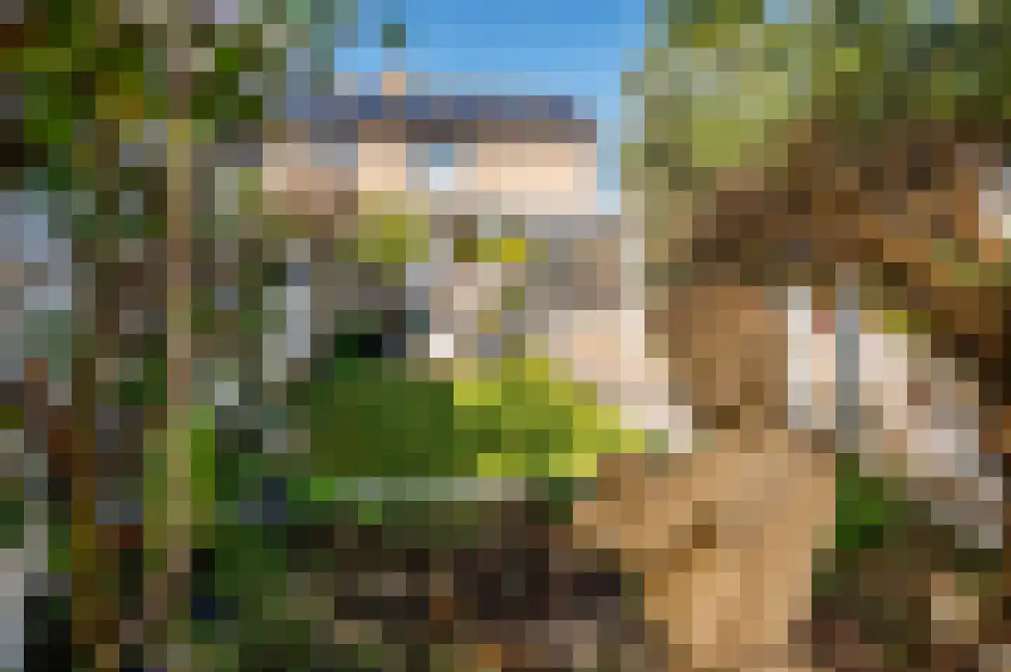 Leijgraaf 140 Belfeld thumbnail 27