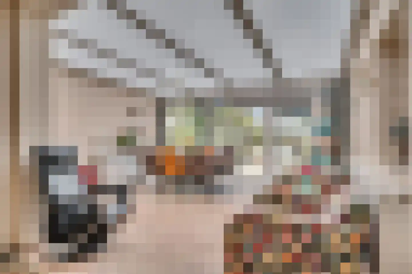 Leijgraaf 140 Belfeld thumbnail 6