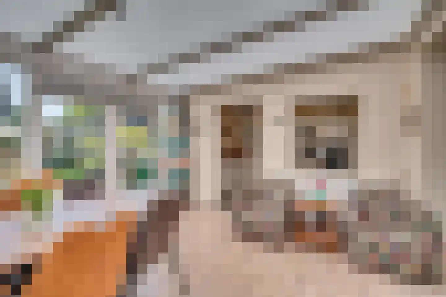 Leijgraaf 140 Belfeld thumbnail 7