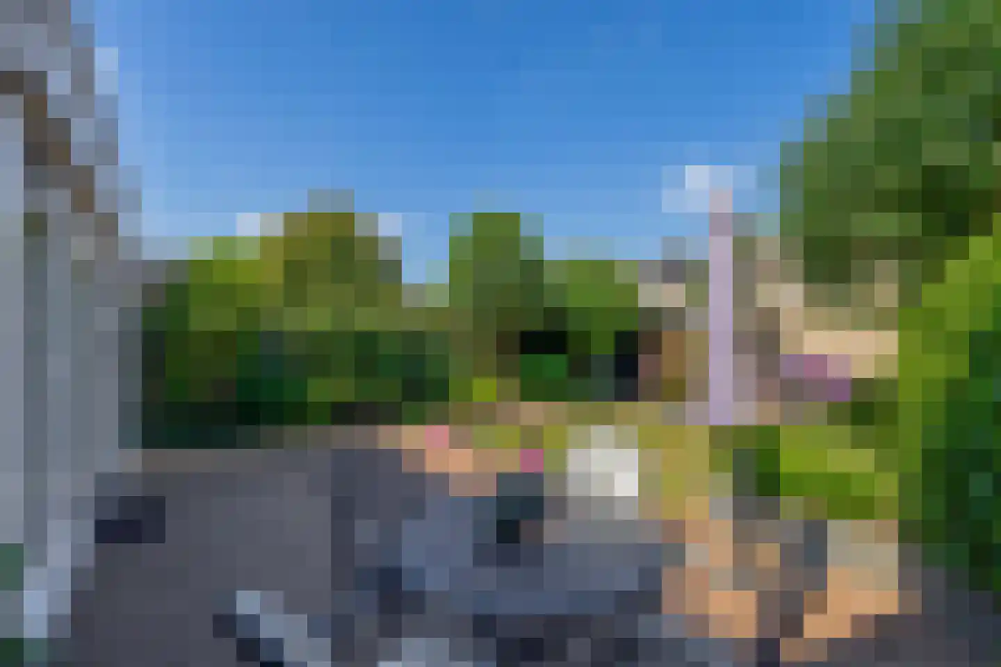 Leijgraaf 184 Belfeld thumbnail 23