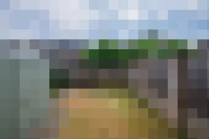 Leijgraaf 214 Belfeld thumbnail 23