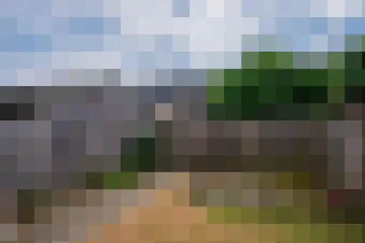 Leijgraaf 214 Belfeld thumbnail 24