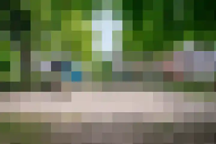 Leijgraaf 214 Belfeld thumbnail 28