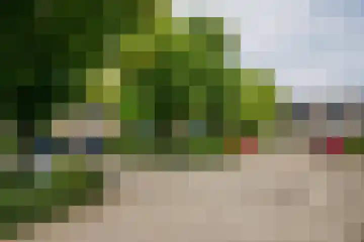 Leijgraaf 214 Belfeld thumbnail 29