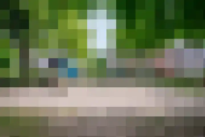 Leijgraaf 214 Belfeld thumbnail 6