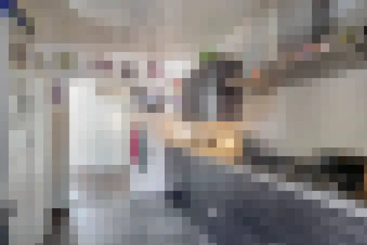 Leijgraaf 8 Belfeld thumbnail 10