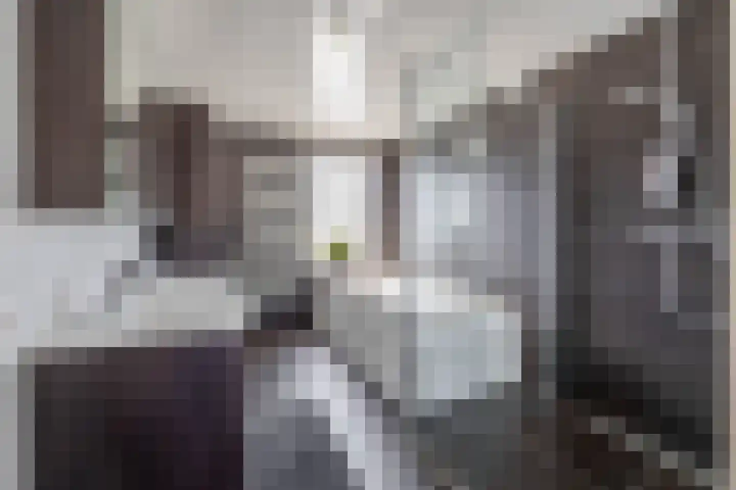 Leijgraaf 8 Belfeld thumbnail 16