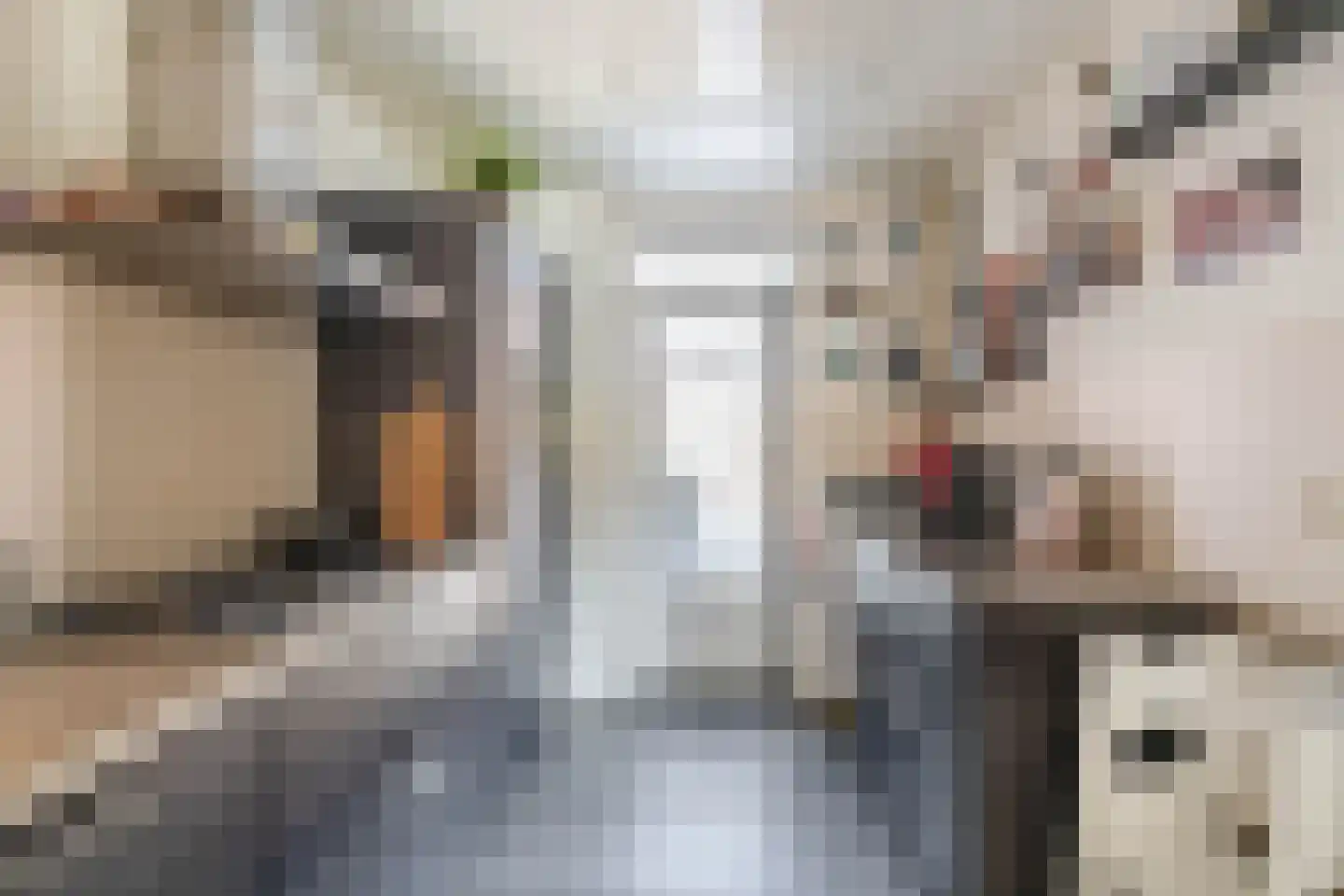 Leijgraaf 8 Belfeld thumbnail 9