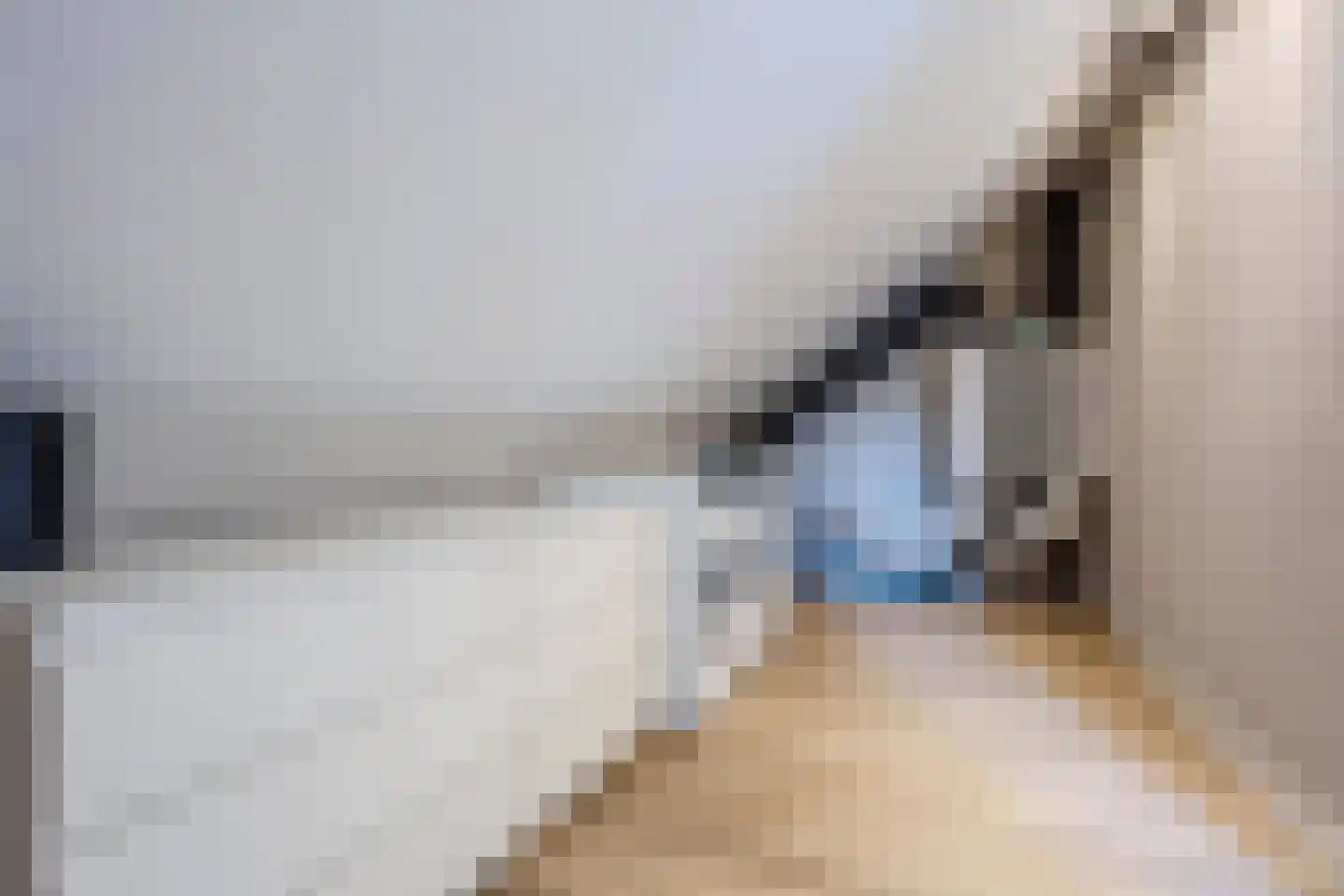 Leijgraafhof 29 De Mortel thumbnail 39